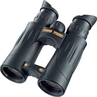 Steiner Discovery 10 x 44