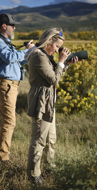 Swarovski AT Balance